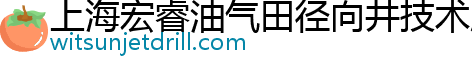 上海宏睿油气田径向井技术服务有限公司